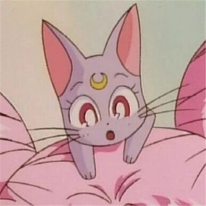 500部大龄熟乱视频
